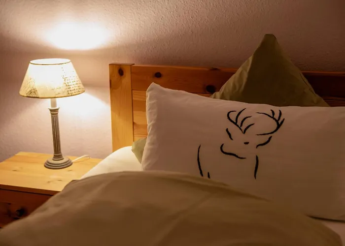 Vor lauter Bäumen B&B